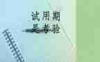 财务岗试用期工作总结5篇