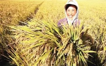 收获及工作总结参考6篇