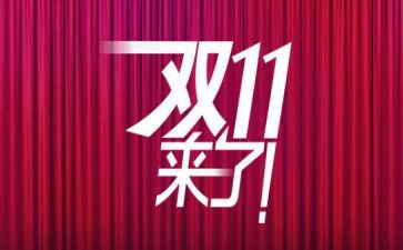 客服双11后总结报告推荐8篇