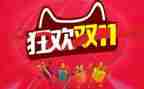 邮政双11工作总结5篇
