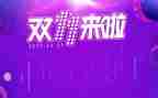 2024年双十一活动方案8篇