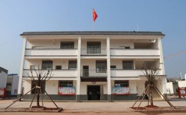 支部书记述职工作报告5篇