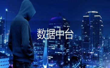 网络安全和数据安全自查报告6篇