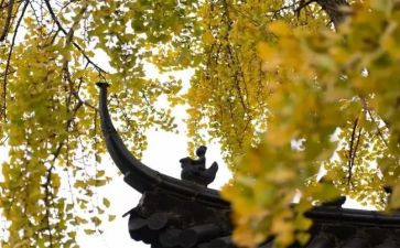 2023寺管会工作总结8篇