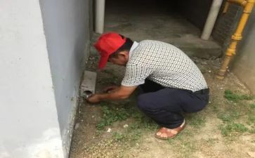 治四害工作计划5篇