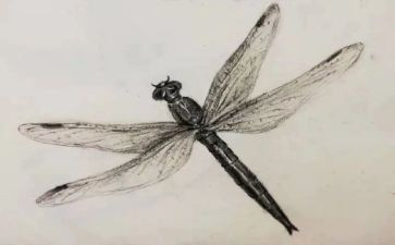 幼儿园素描画教案7篇