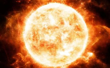太阳种教学反思8篇