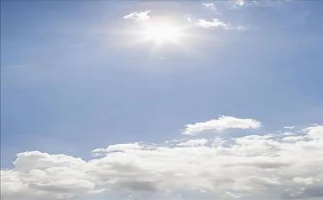 幼儿园中班种太阳教案5篇