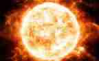 太阳种教学反思8篇