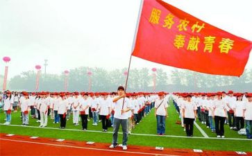 期满特岗教师个人总结6篇