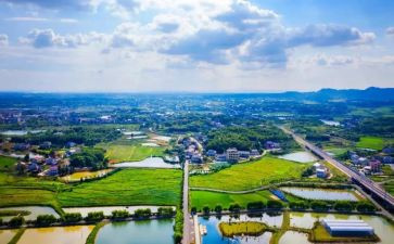 特岗教师学习心得7篇