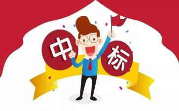 投标组工作总结8篇