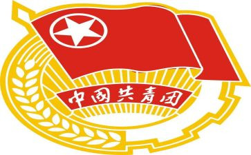 学校团会工作总结范文8篇