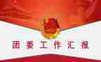 所团委工作总结优秀8篇