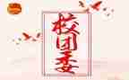 所团委工作总结推荐8篇