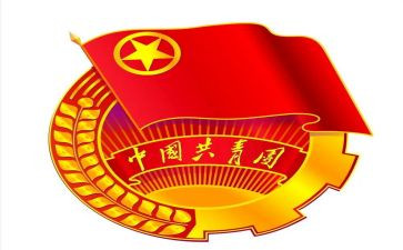 村团支部年度工作报告6篇