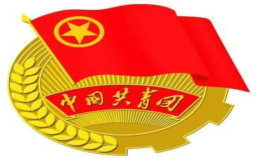 团支部一年度工作总结参考6篇