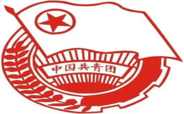 团支部一年度工作总结优秀6篇