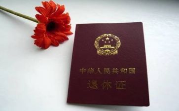 退休的工作总结7篇