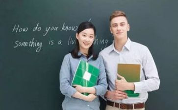 外教学后心得7篇