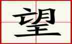 我的愿望作文500字8篇