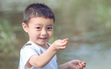 王子清读后感最新6篇