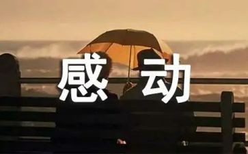 小学生写感动的事作文8篇