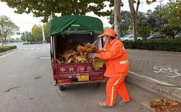 县爱卫工作计划5篇