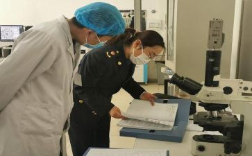 校卫生室工作报告模板6篇