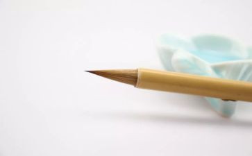 他牵动我的情思的作文8篇