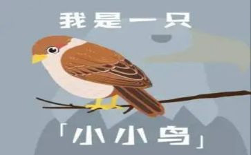 放小鸟教学反思5篇