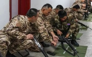 武警部队士兵半年总结8篇