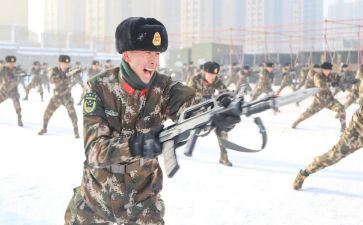 武警个人年终工作总结8篇
