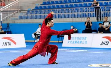 武术对工作总结6篇