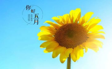 五月份的工作计划范文8篇