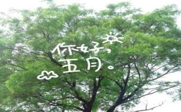 五月份月工作计划5篇