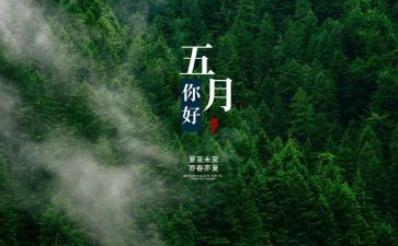 小班幼儿五月份工作总结5篇