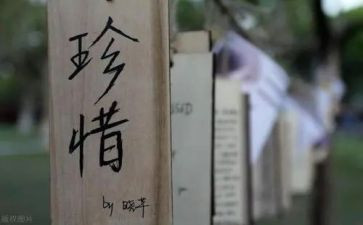 珍惜水的演讲稿推荐7篇