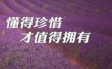 珍惜粮食的作文5篇