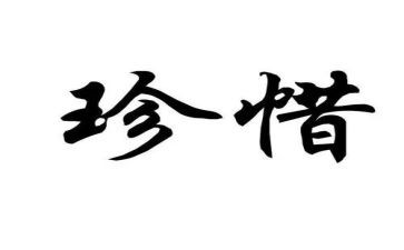 珍惜作文精选8篇