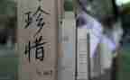 珍惜水的演讲稿推荐7篇