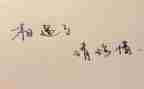 珍惜水的演讲稿参考5篇