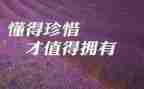 珍惜粮食的作文5篇
