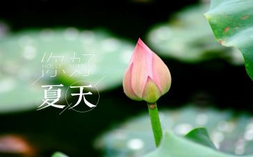 夏季消防安全检查方案5篇