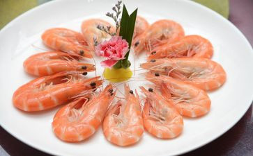 捞小河虾的作文最新8篇