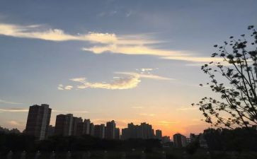 高二下班主任工作总结通用7篇