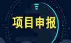 工作项目项目工作总结推荐8篇