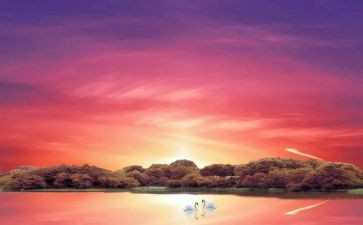 骆驼祥子800字读后感模板8篇