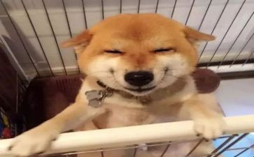 幼儿园语言《笑》教案优质8篇