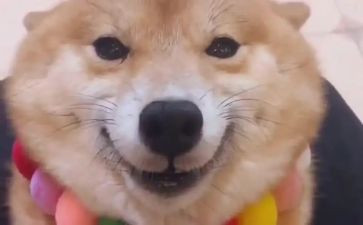 微笑的作文600字6篇